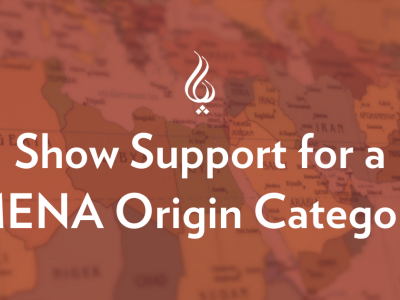 Show Support for a MENA Origin Category