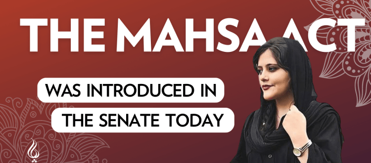 The MAHSA Act was Introduced in the Senate