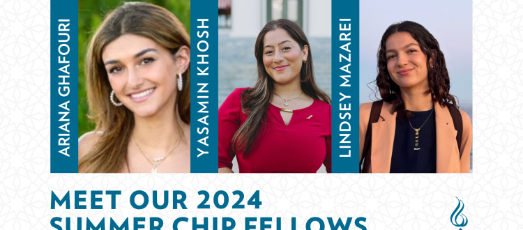 Meet Our 2024 Summer CHIP Fellows